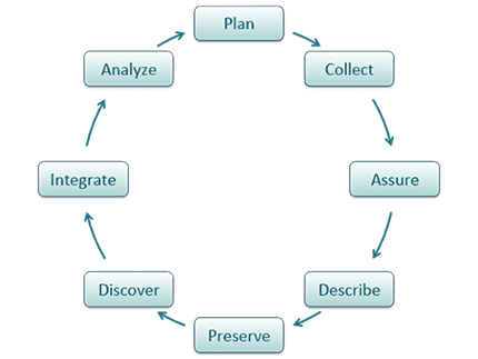 Big Data Management Cycle