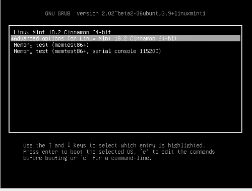 linux Mint install step 1