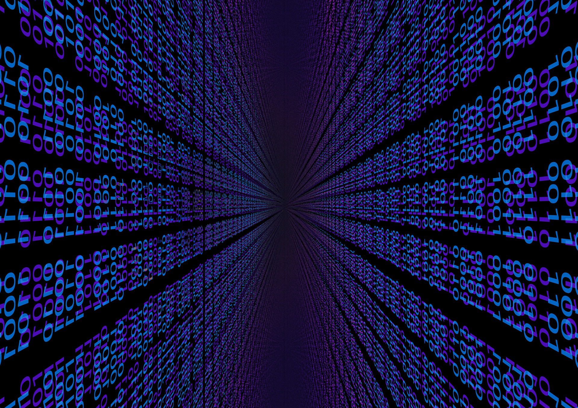 Rows of binary data.