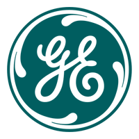 GE Vernova icon.