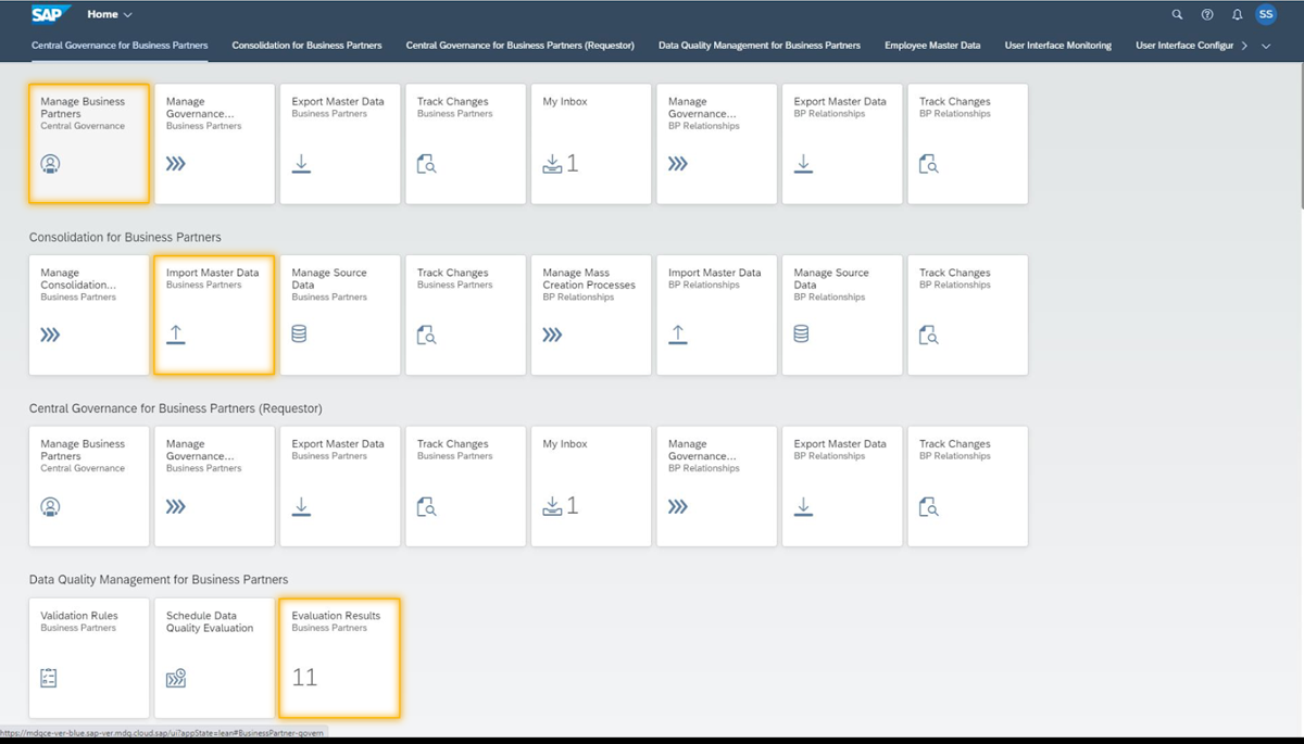SAP Master Data Governance interface.