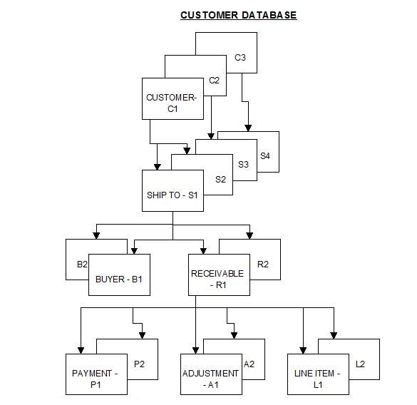 An IBM IMS hierarchical data model.